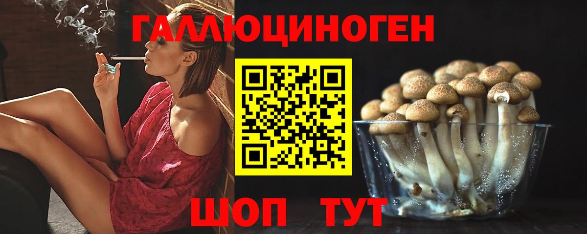 Псилоцибиновые грибы MAGIC MUSHROOMS  Вход с VPN  купить наркоту  Красногорск  Галлюциногенные грибы мухоморы 